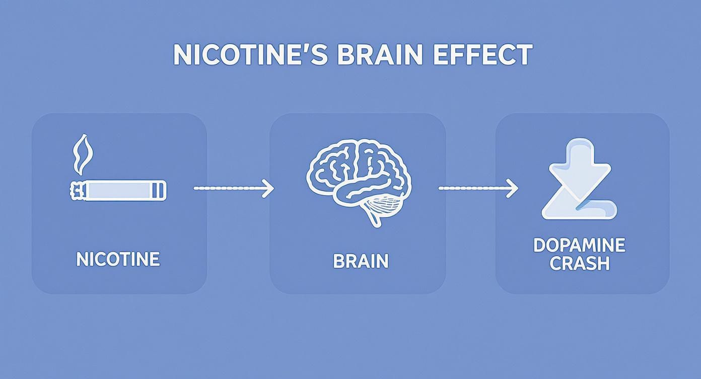 Infographic about does giving up smoking cause depression