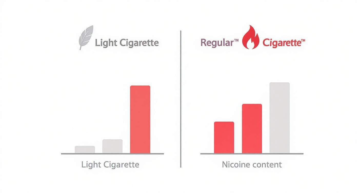 Infographic comparing nicotine levels in 'Light' vs 'Regular' cigarettes, showing both can deliver the same amount of nicotine.