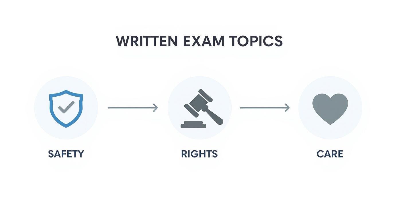 Infographic about cna state exam study guide