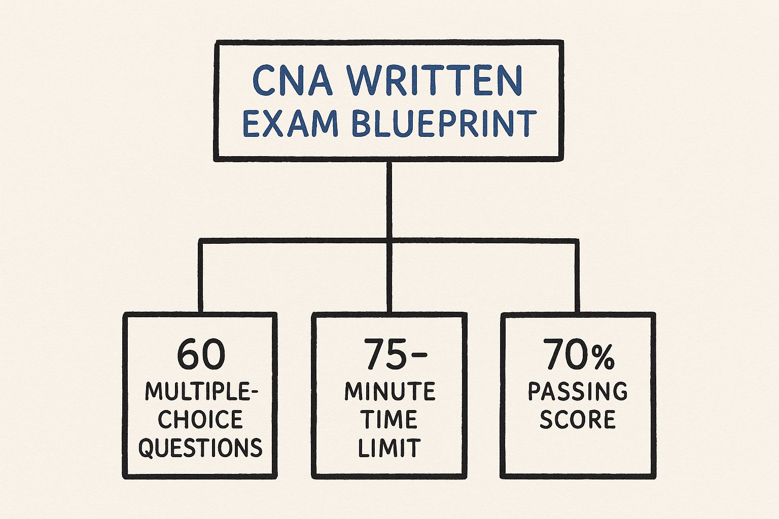 Infographic about cna written exam