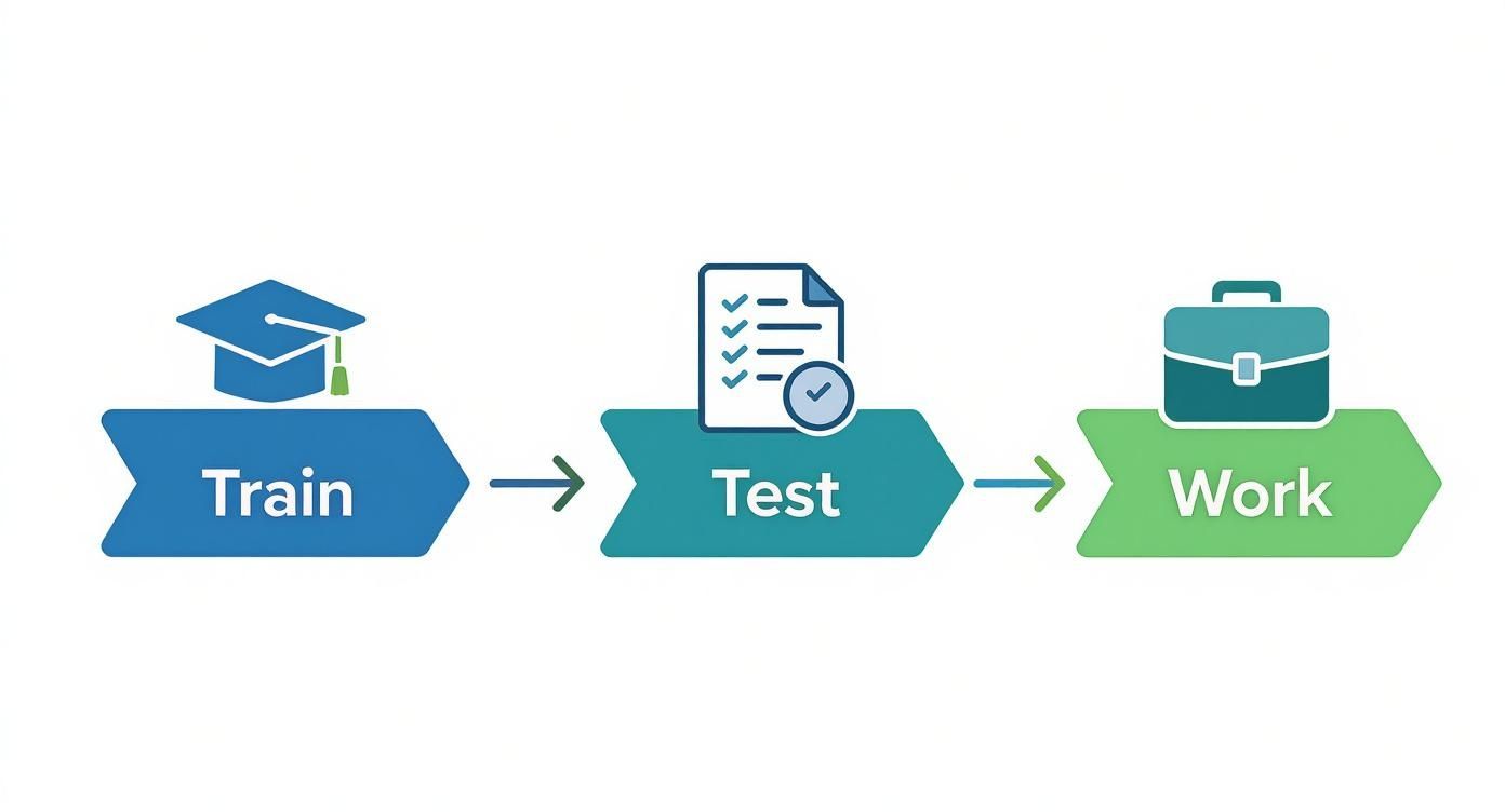 Infographic about how to become a cna