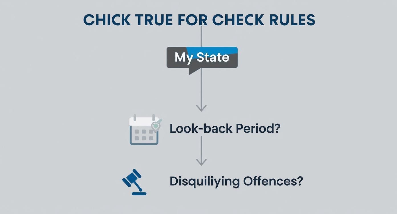 An infographic decision tree showing the process of checking CNA background check rules, including state, look-back period, and disqualifying offenses.