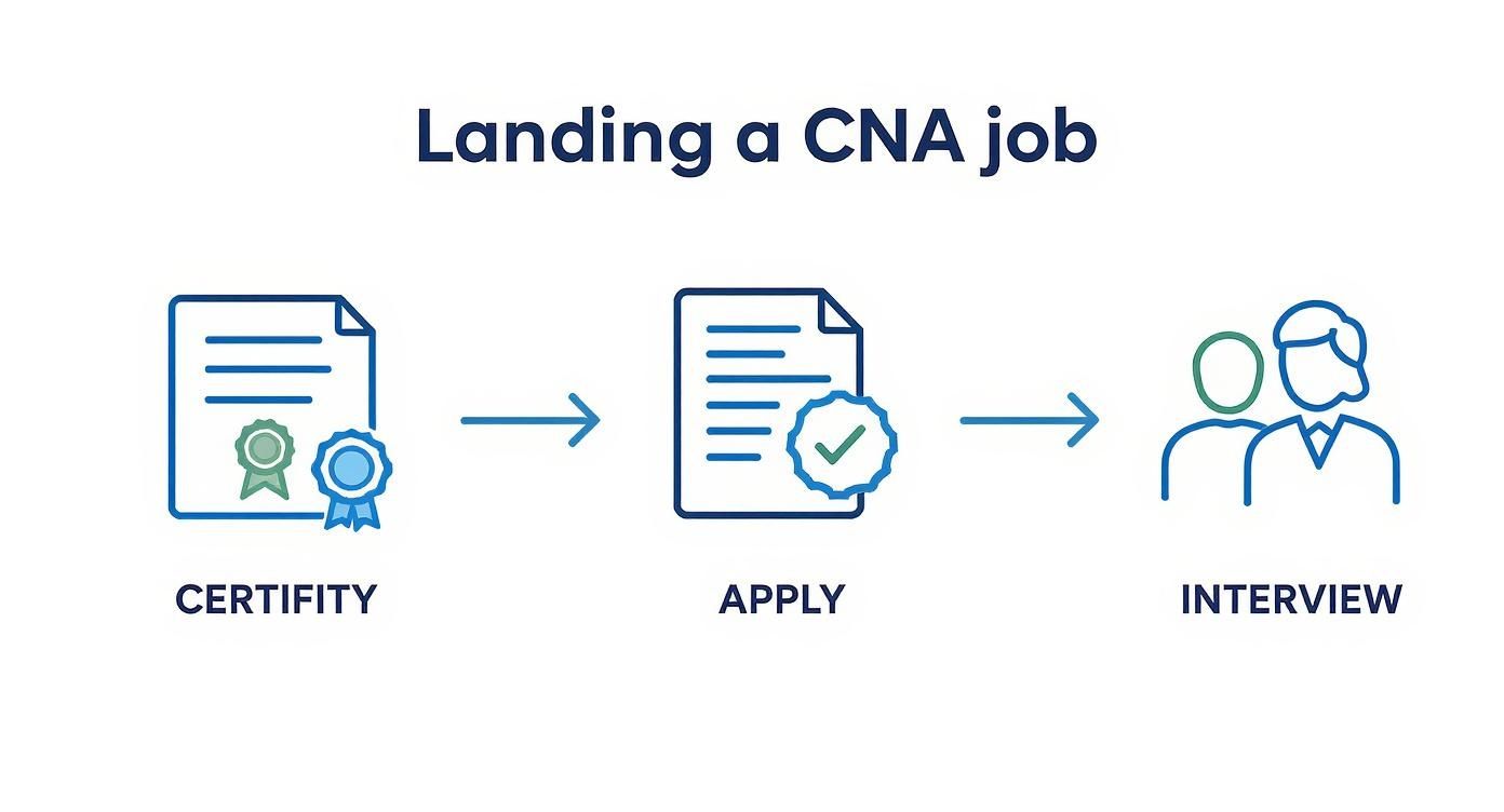 An infographic showing the process of landing a CNA job in three steps Certify, Apply, and Interview.