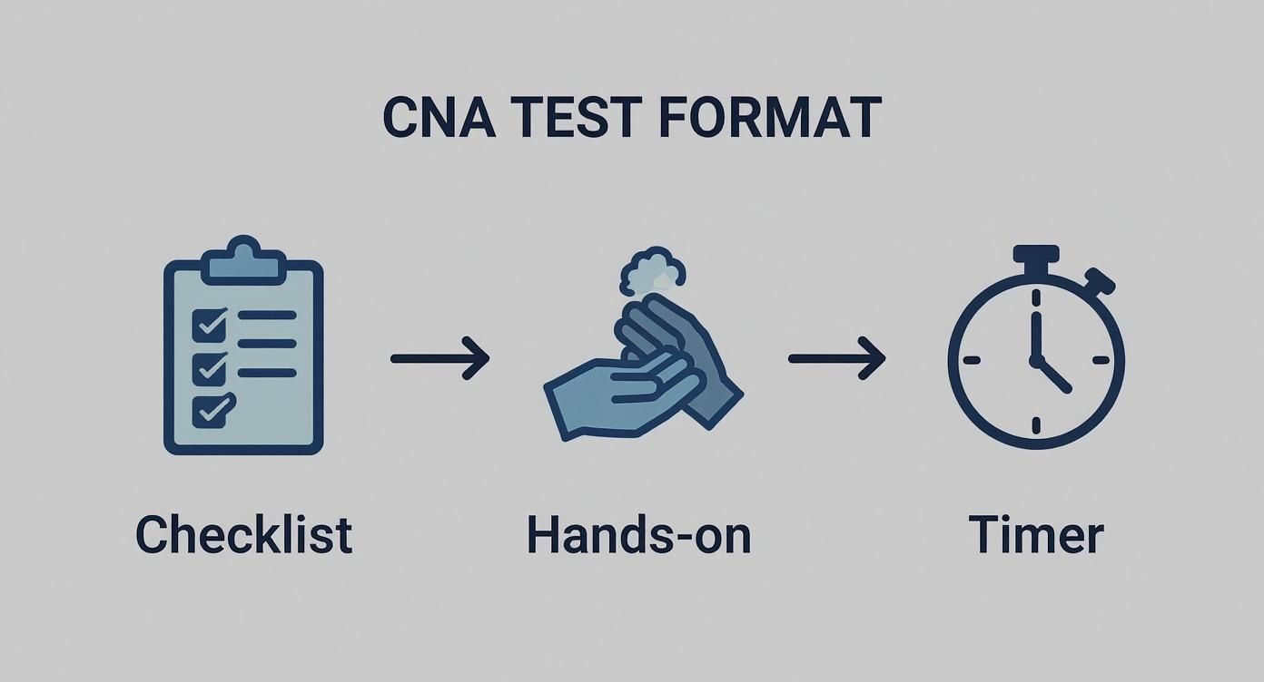 Infographic about how to pass cna skills test
