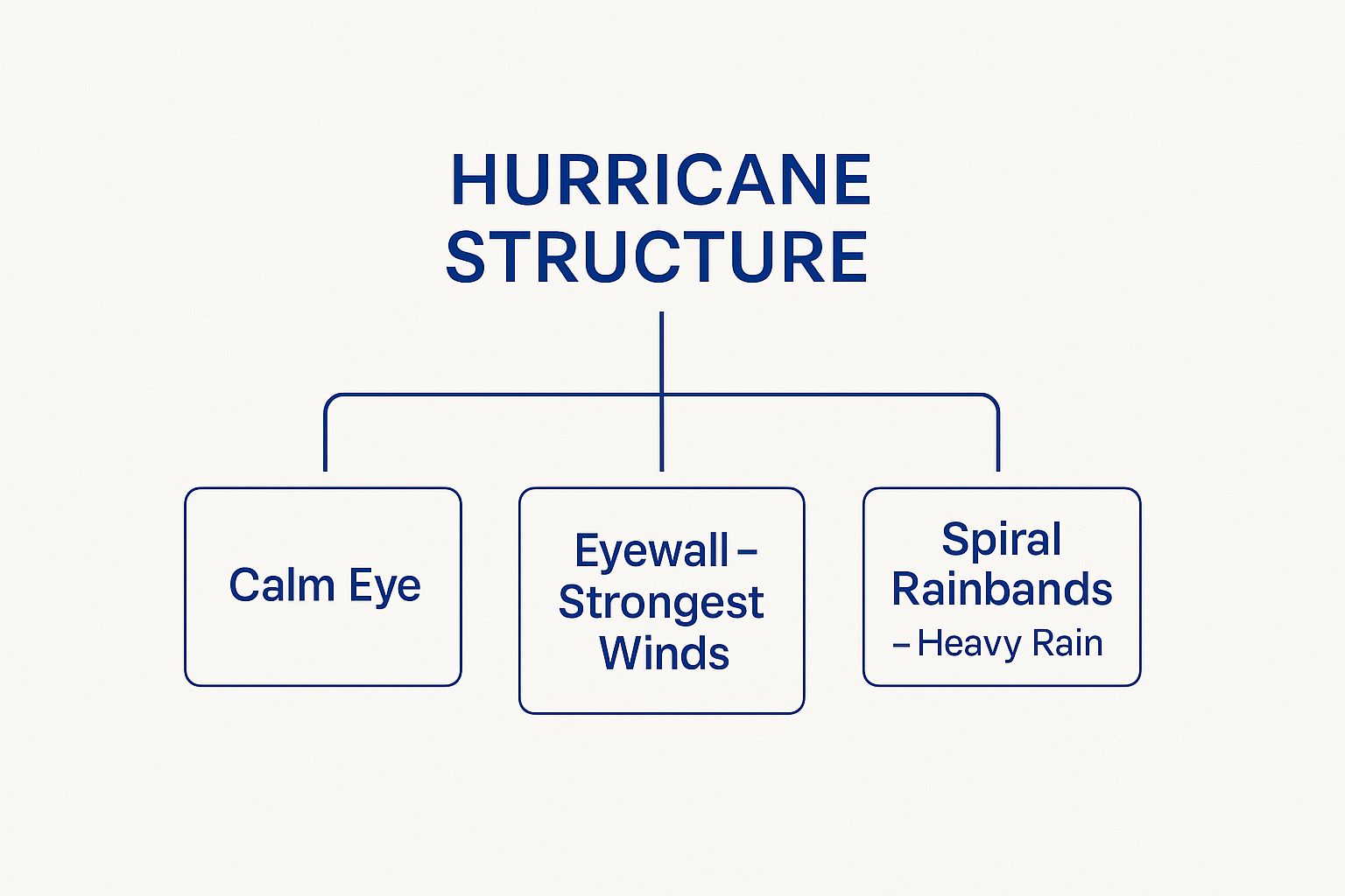 Infographic about what hurricanes look like