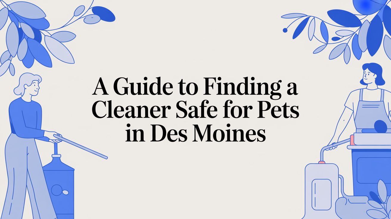 A Guide to Finding a Cleaner Safe for Pets in Des Moines