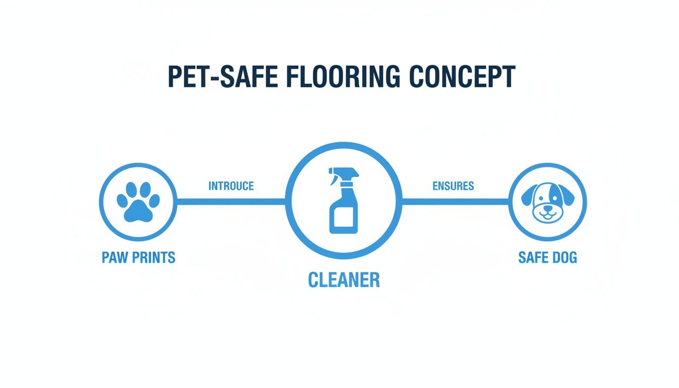 Diagram showing a pet-safe flooring concept: paw prints introduce a cleaner, ensuring a safe dog.
