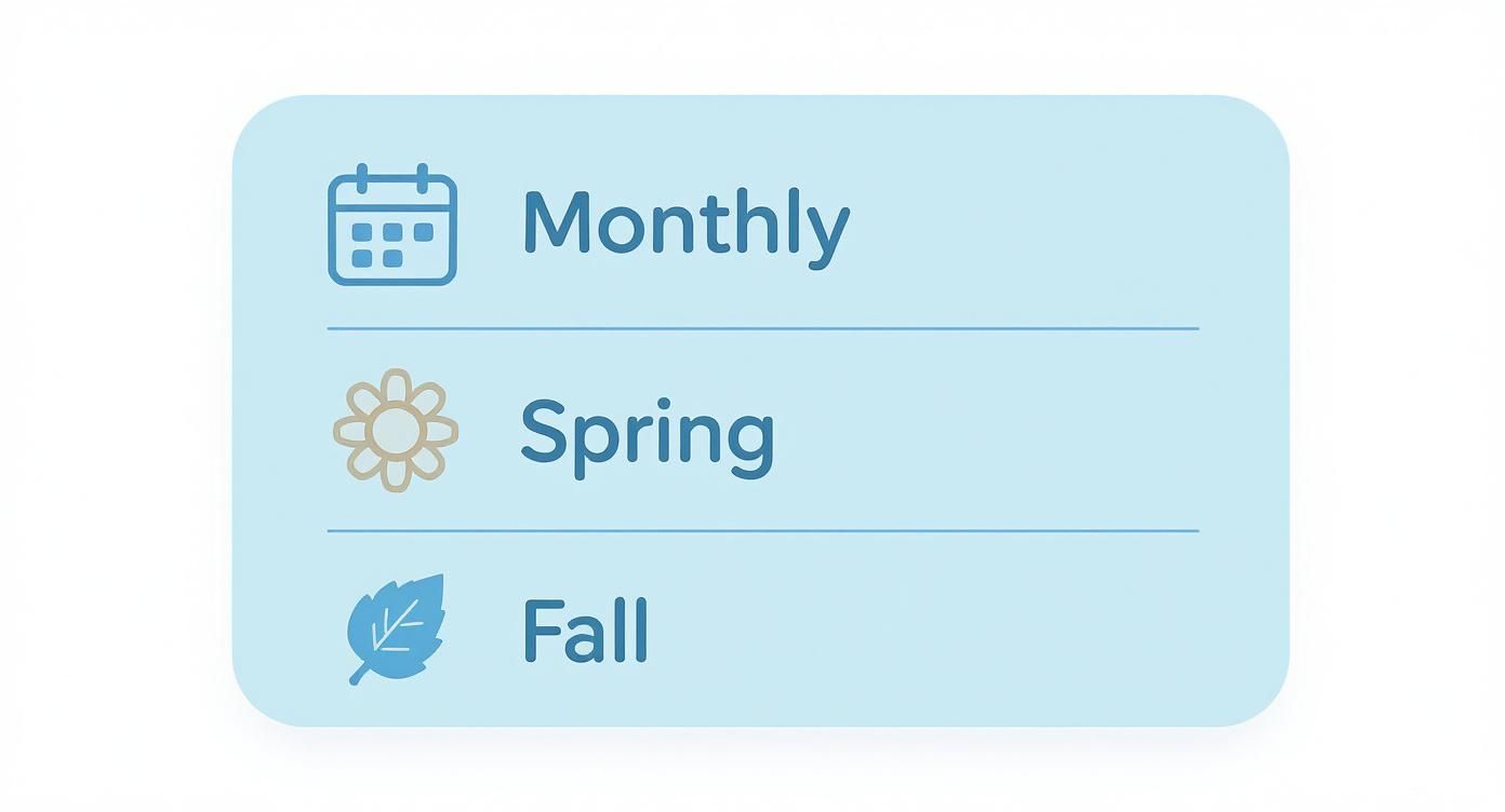House cleaning schedule options showing monthly calendar icon, spring flower icon, and fall leaf icon
