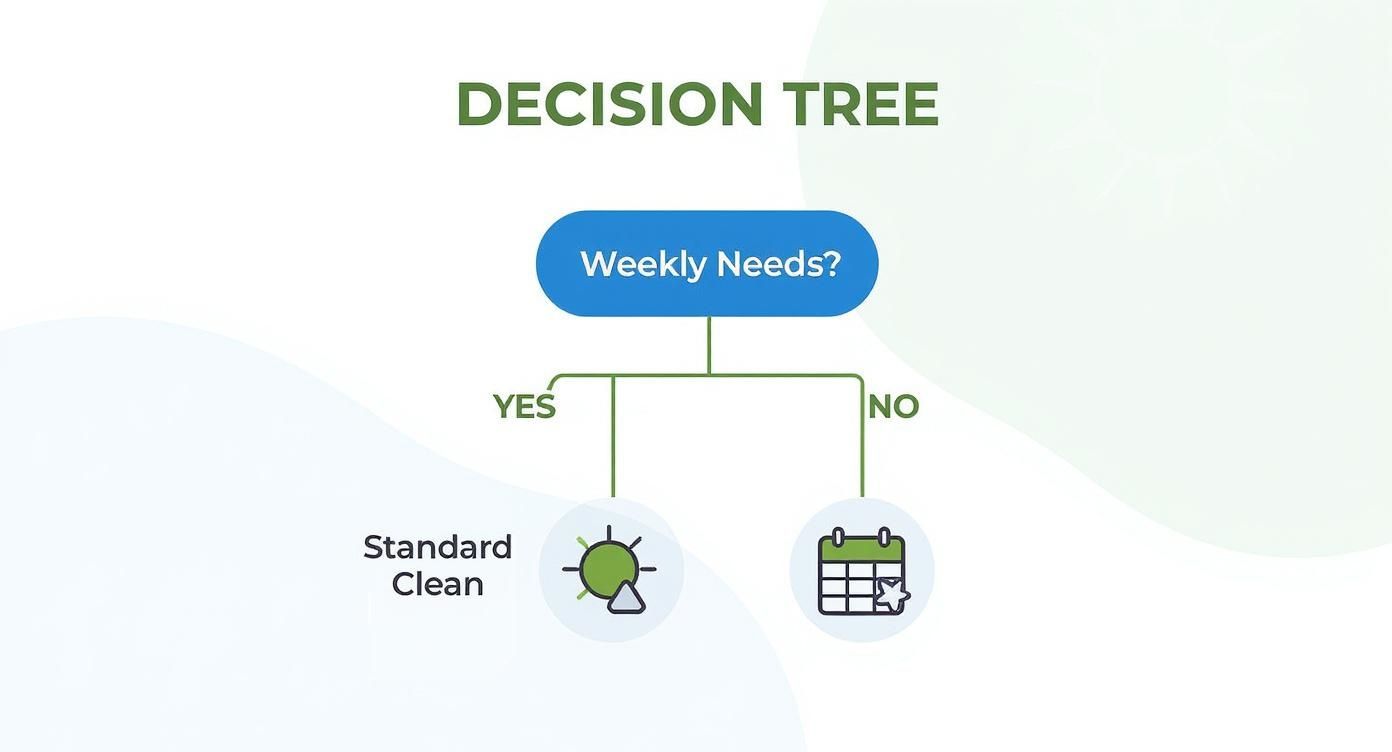 Infographic about standard cleaning vs deep cleaning