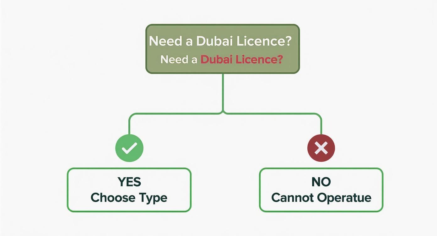 Infographic about dubai trade licence