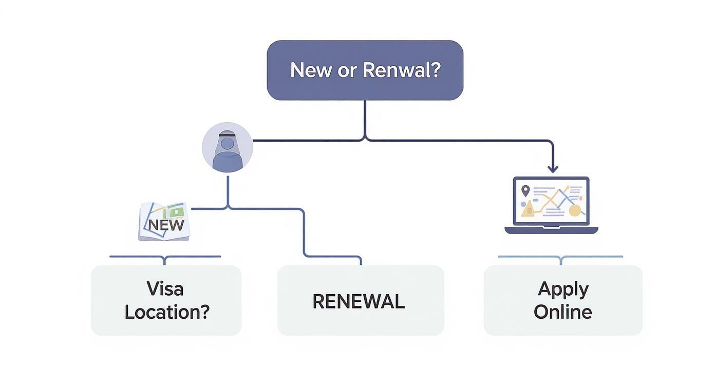 Flowchart explaining new or renewal application process, with options for in-person at a visa location or applying online.