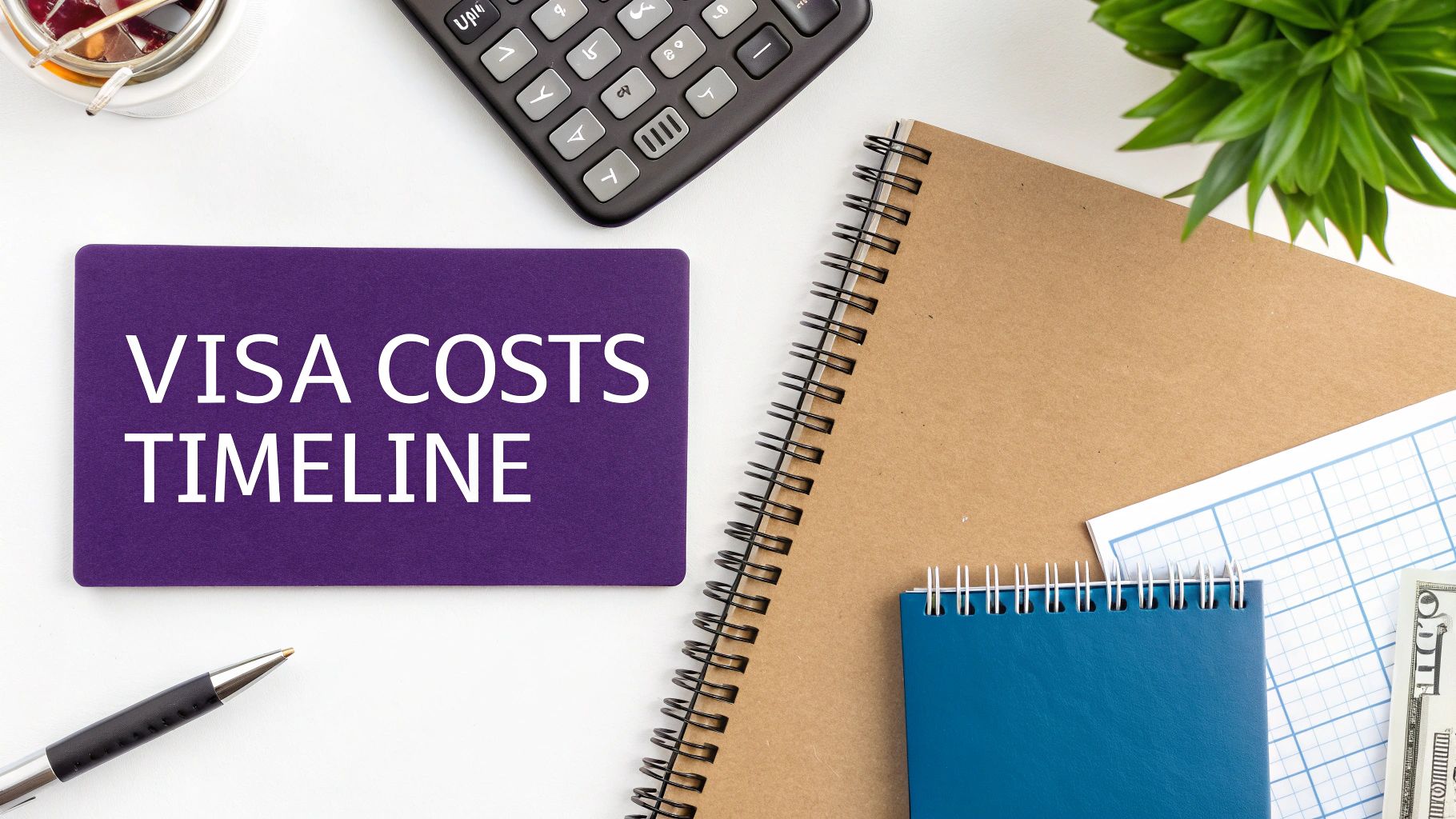 A flat lay shows a purple card with 'VISA COSTS TIMELINE' next to a calculator, notebooks, and a pen.