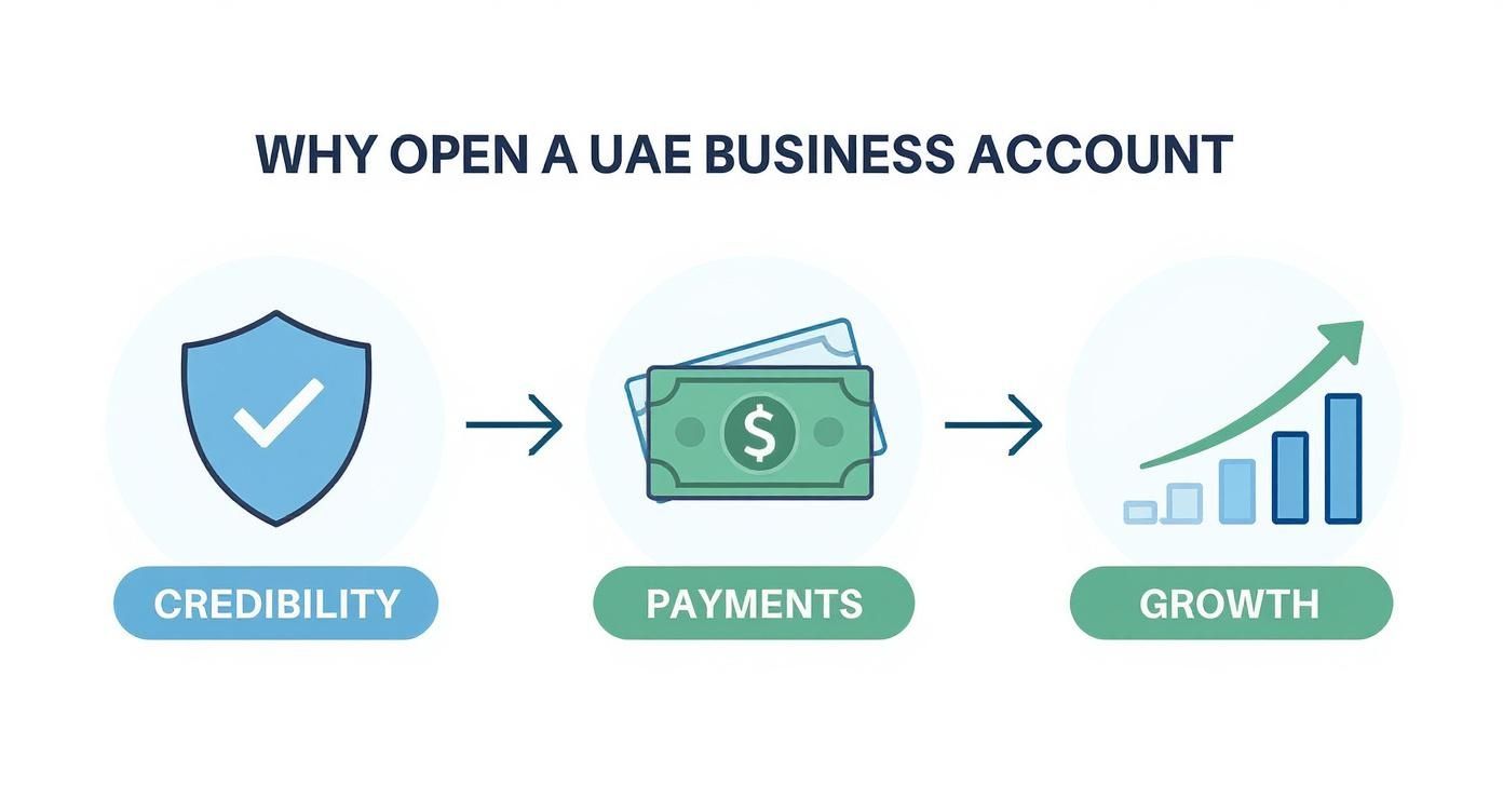 Infographic about open bank business account