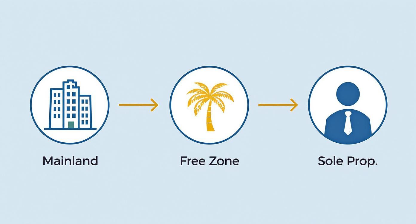 Mainland to free zone to sole proprietorship business setup process diagram in UAE