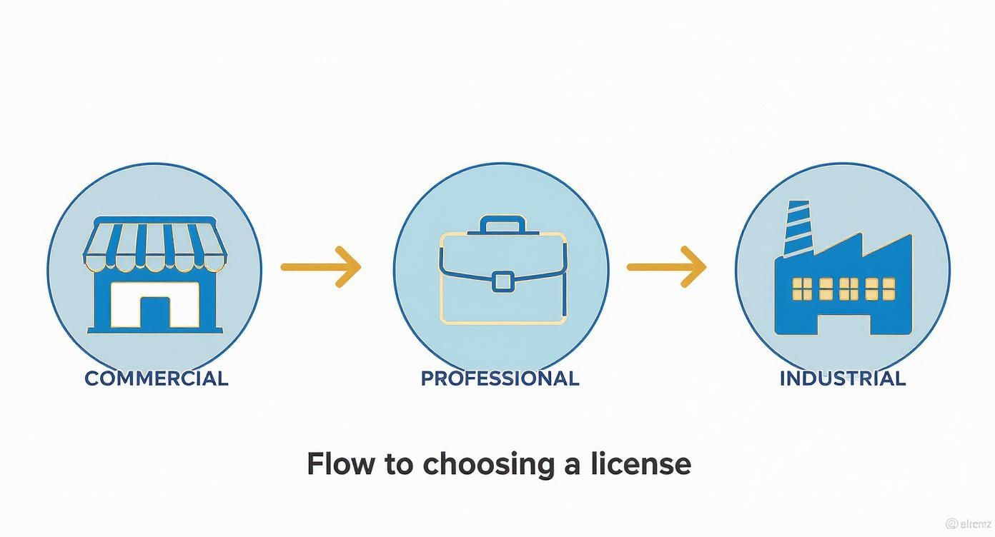 Infographic about company formation in dubai mainland
