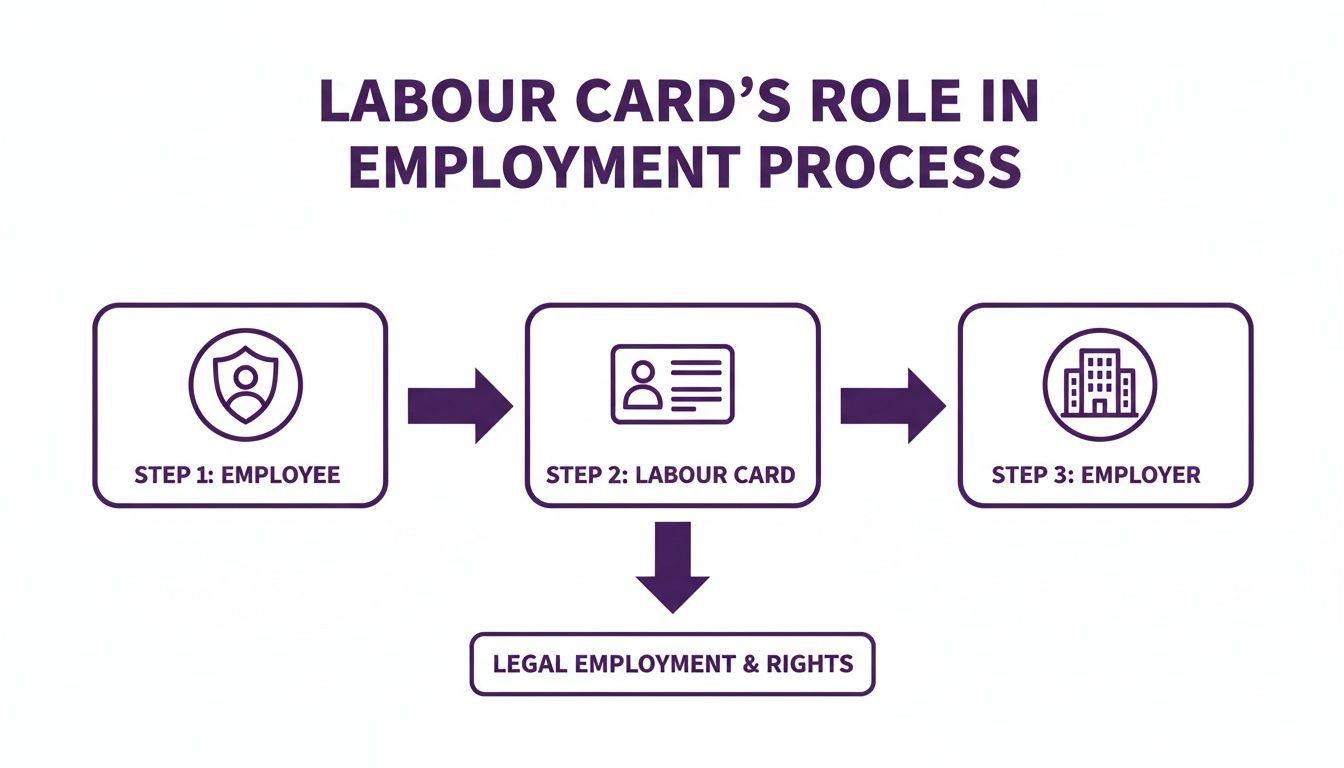 Flowchart illustrating the labour card's essential role in the employment process for legal employment and rights.