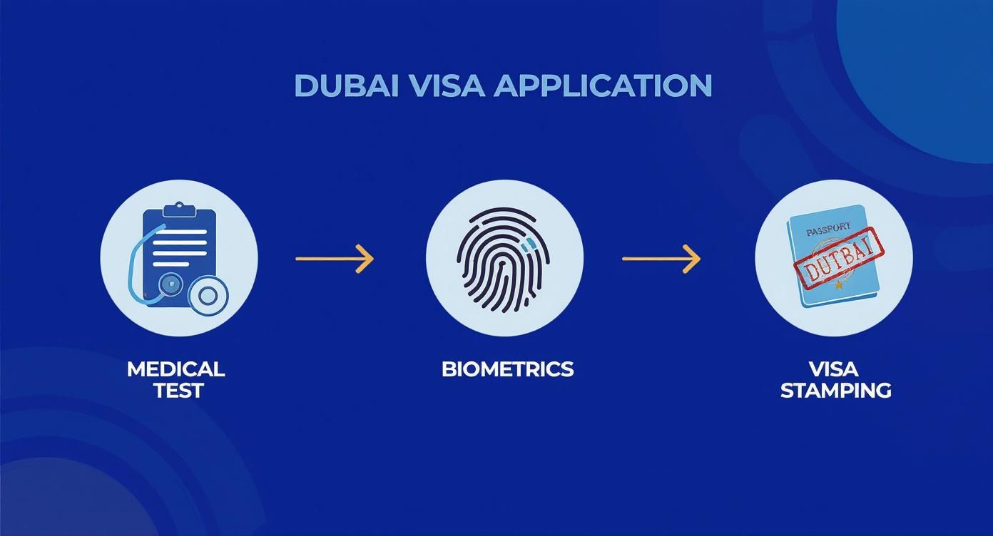 Infographic about how to get a residence visa in dubai