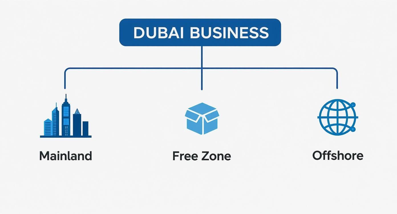 Infographic about company formation dubai
