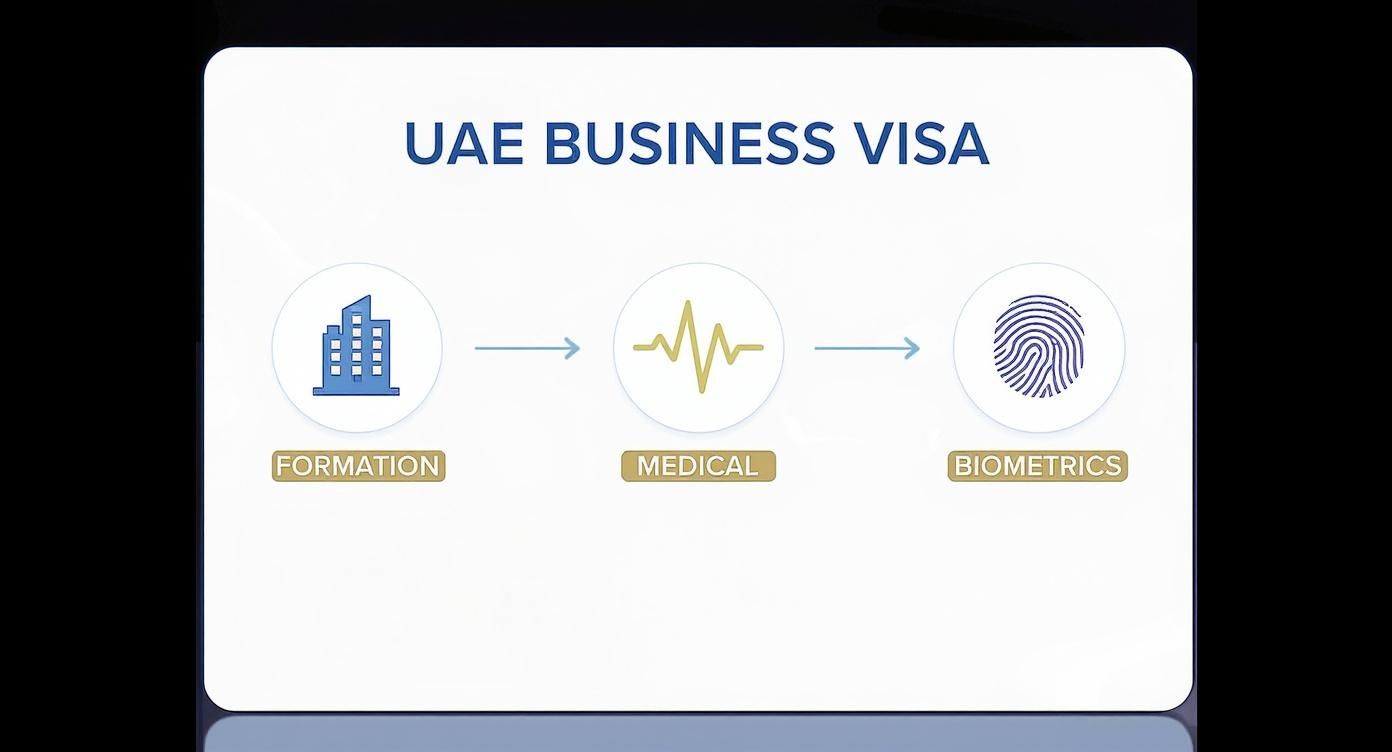 Infographic about business visa in uae