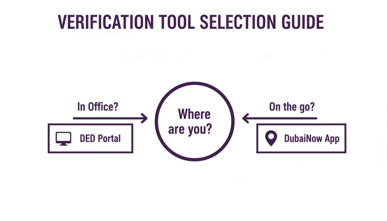 Verification tool selection guide showing options for in-office (DED Portal) or on-the-go (DubaiNow App) use.