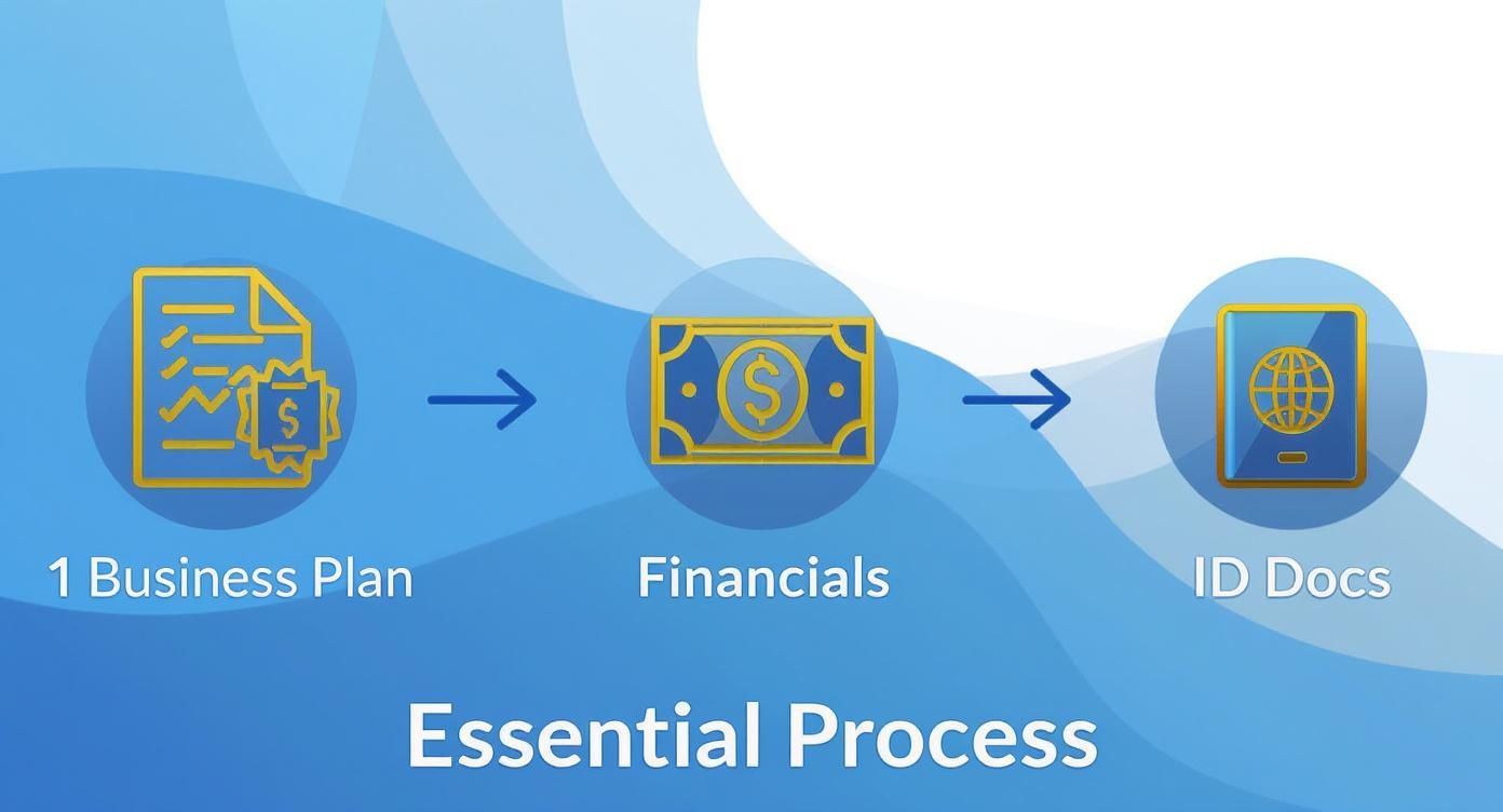 Infographic showing the process flow for essential business visa documents, starting with Business Plan, then Financials, and finally ID Docs.