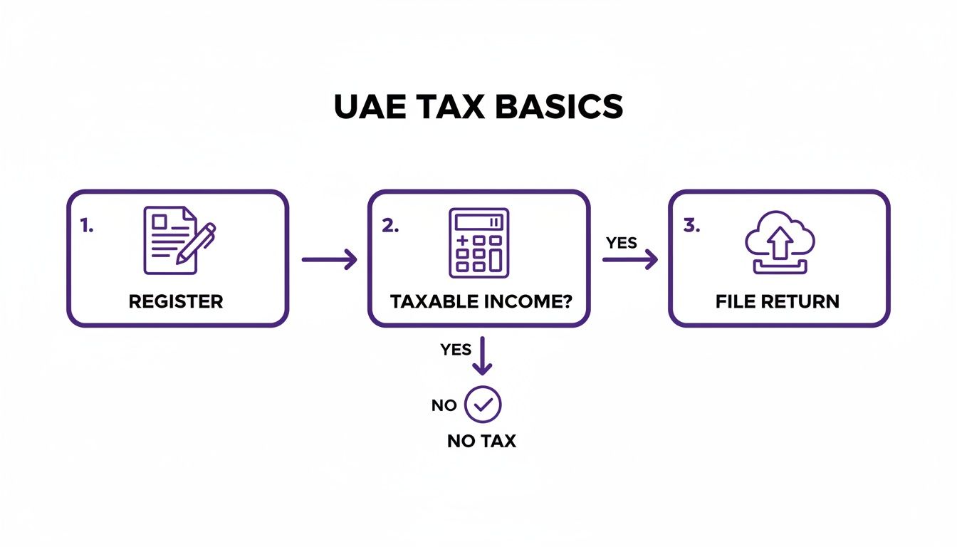 Flowchart illustrating the basic steps for UAE tax, from registration to determining taxable income and filing returns.