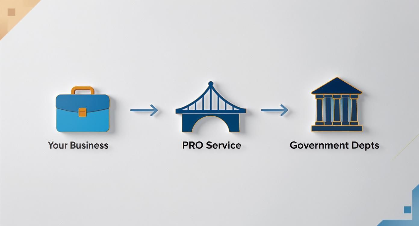 Diagram illustrating how 'Your Business' connects to 'Government Depts' through a 'PRO Service' bridge.