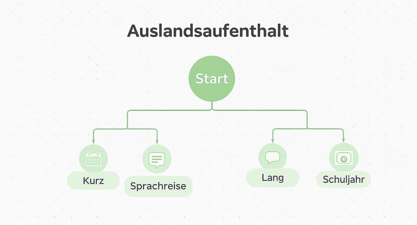 Flussdiagramm zum Thema Auslandsaufenthalt für Schüler mit den Optionen Kurz, Sprachreise, Lang und Schuljahr.