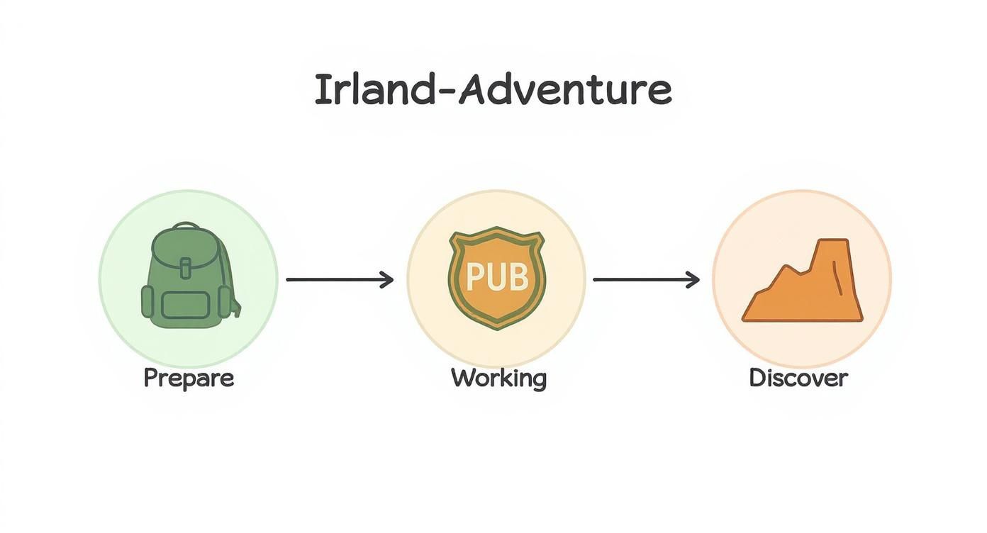 Infographic about work and travel irland