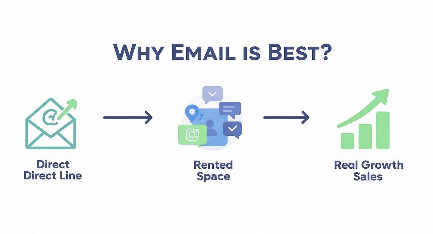 Infographic about email marketing for small business
