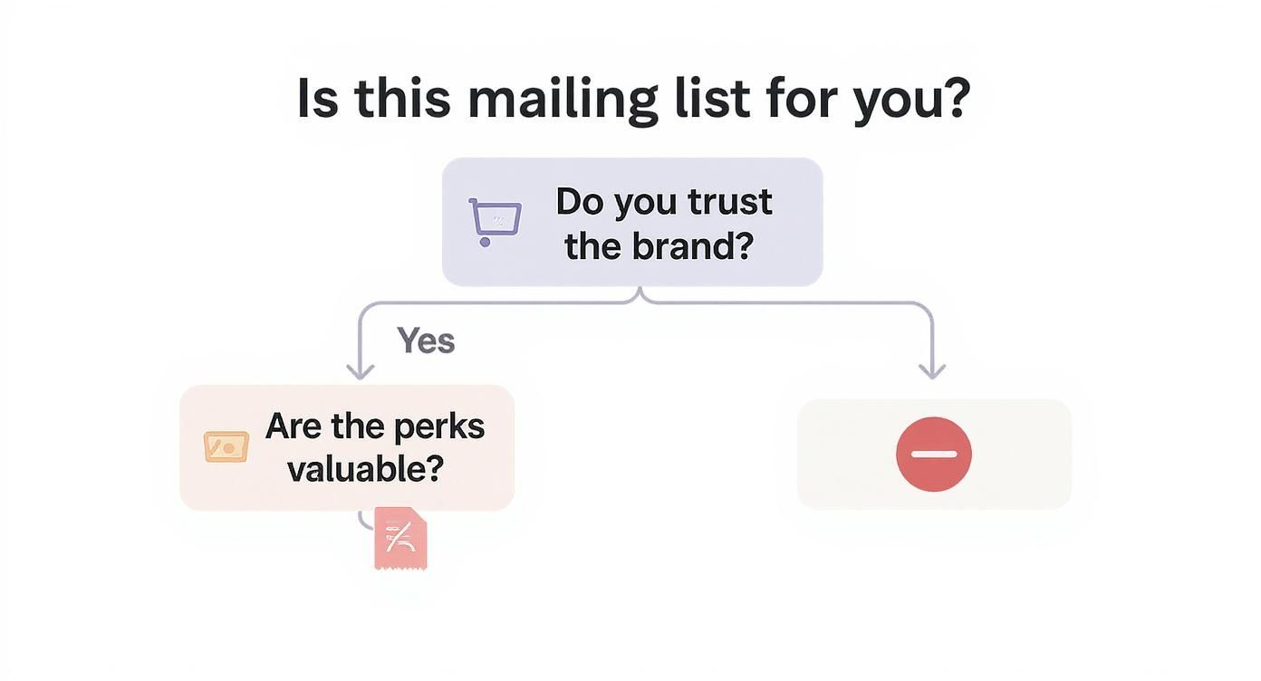Infographic decision tree asking 'Is this mailing list for you?' and branching based on brand trust and the value of perks.