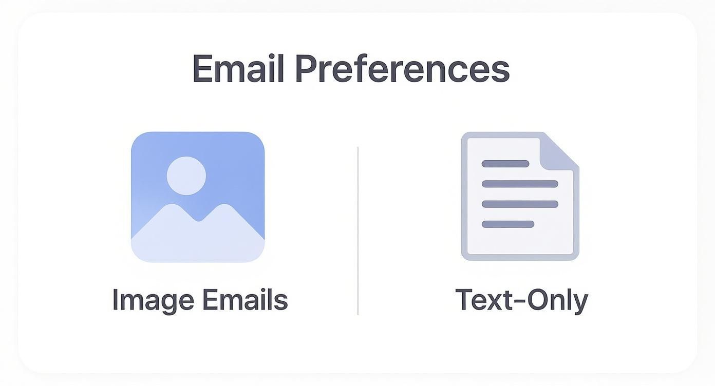 Email preferences interface showing two options: image emails with picture icon and text-only with document icon
