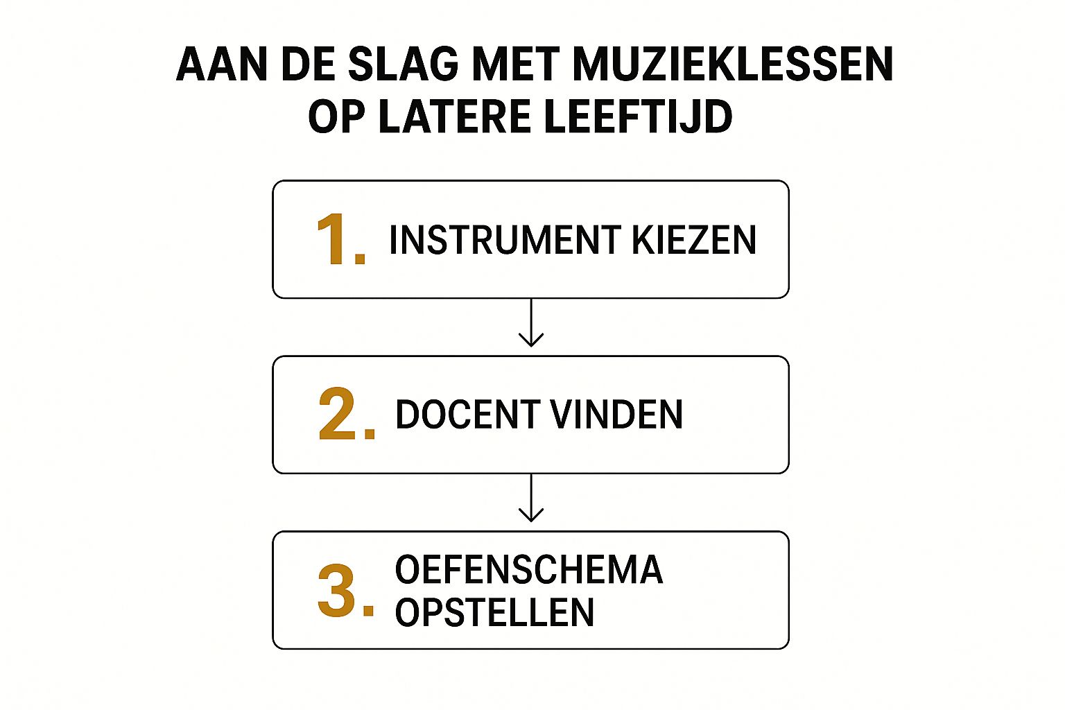 muziek op latere leeftijd schema aan de slag