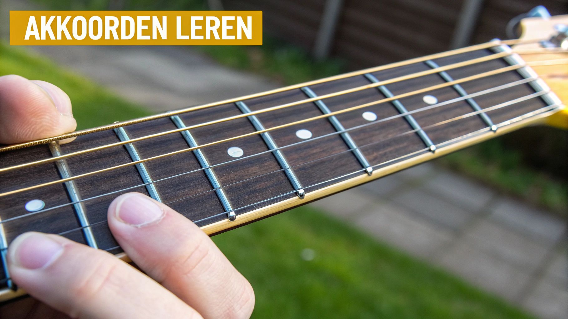 muziektheorie voor beginners akkoorden leren