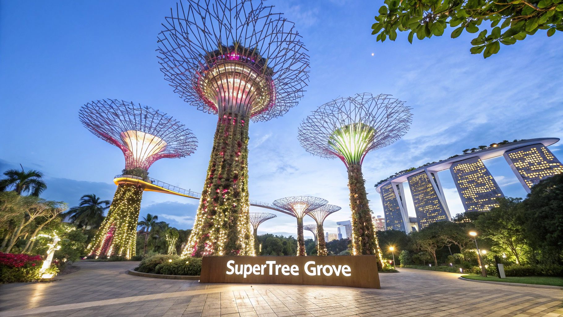 wat te doen in singapore super tree grove gardens by the bay