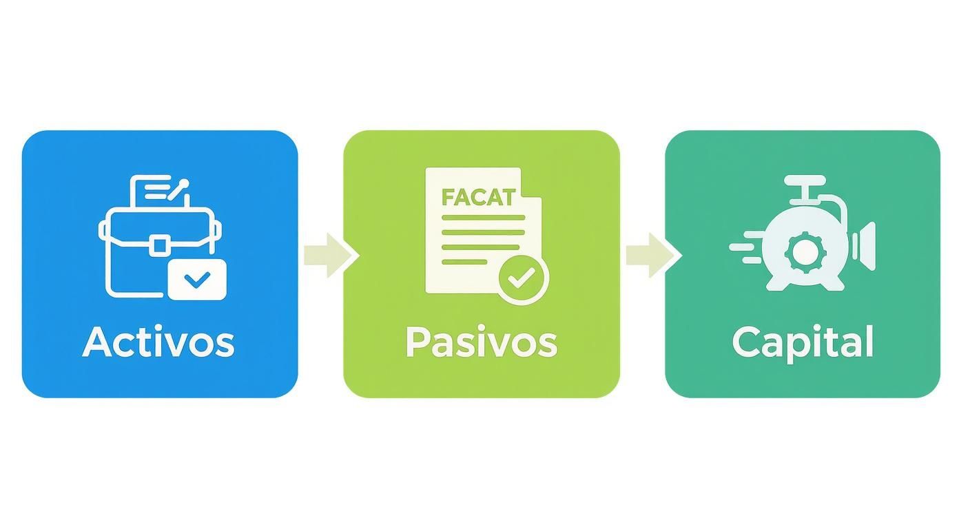 Infographic about capital de trabajo que es