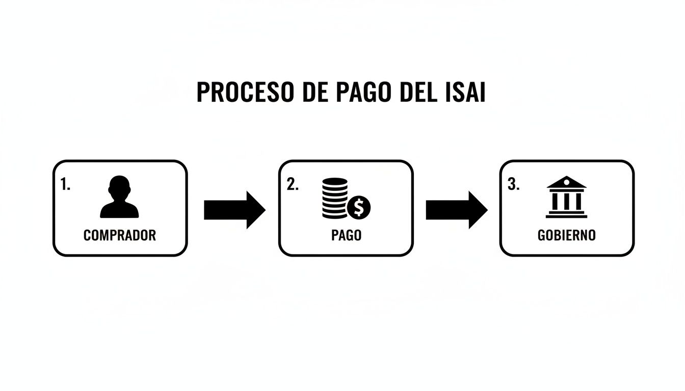 Flujo de pago del Impuesto Sobre Adquisición de Inmuebles (ISAI), mostrando al comprador, el pago y al gobierno.