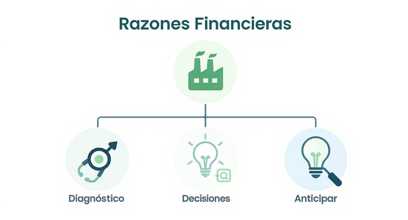 Diagrama de Formulas de las razones financieras mostrando sus usos para diagnóstico, toma de decisiones y anticipación de futuro.