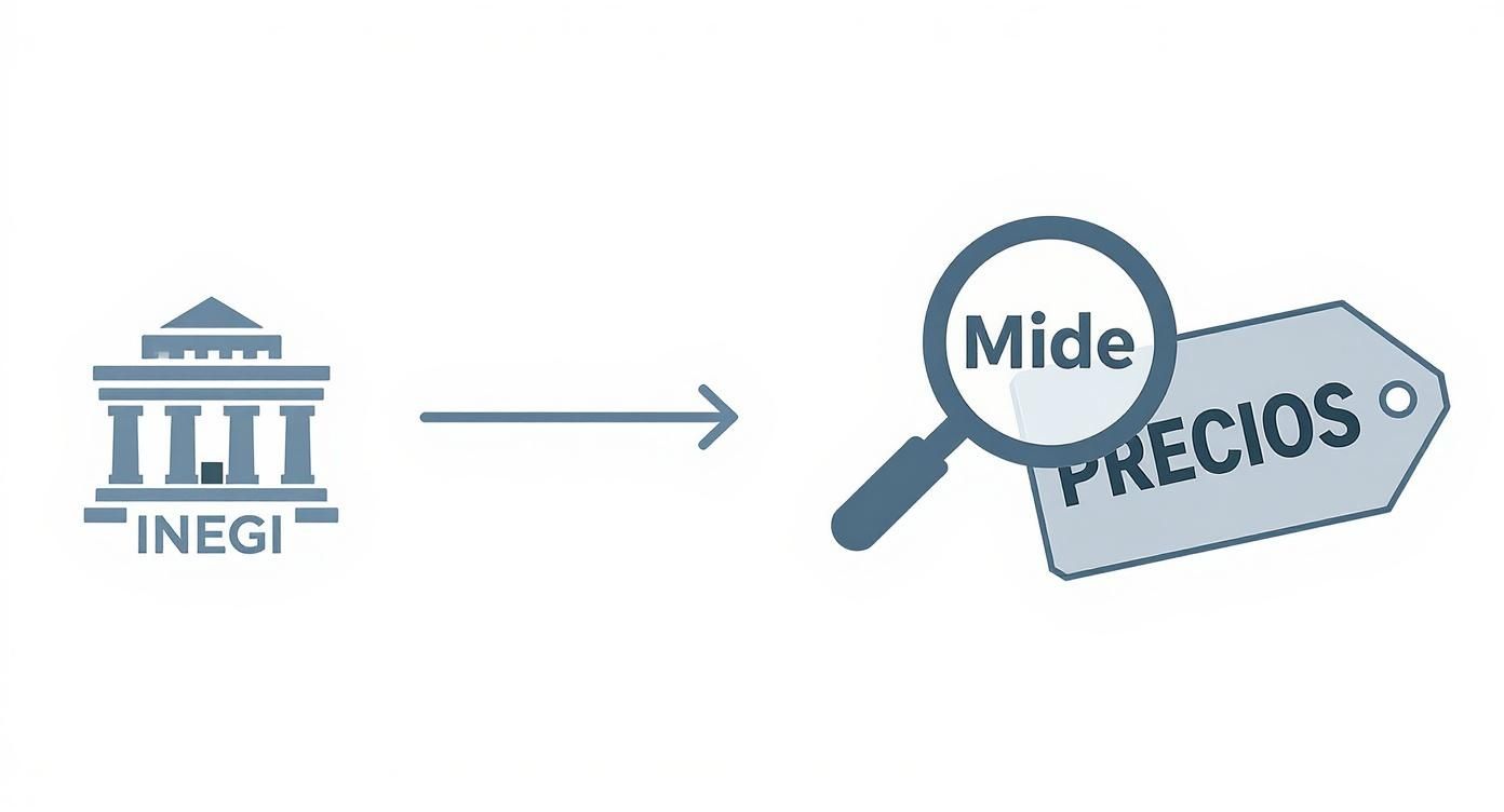 Icono del INEGI con una flecha que señala una lupa con 'Mide' y una etiqueta de precios con 'PRECIOS'.