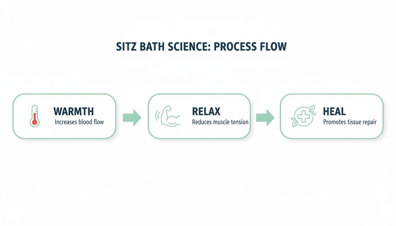 A diagram illustrates the sitz bath process: warmth increasing blood flow, relaxing muscles, and promoting tissue repair for healing.