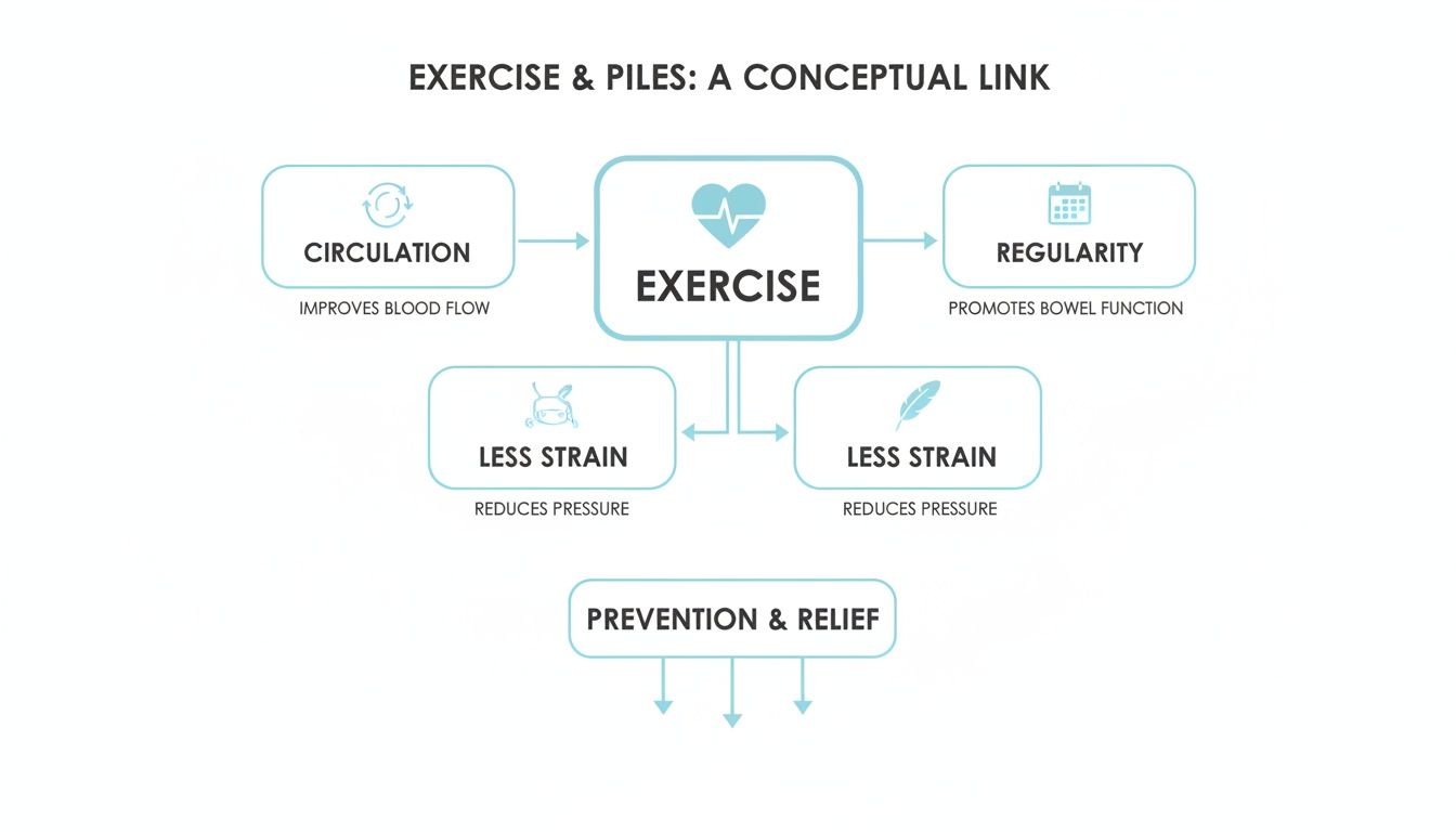 A diagram explaining how exercise conceptually links to the prevention and relief of piles.