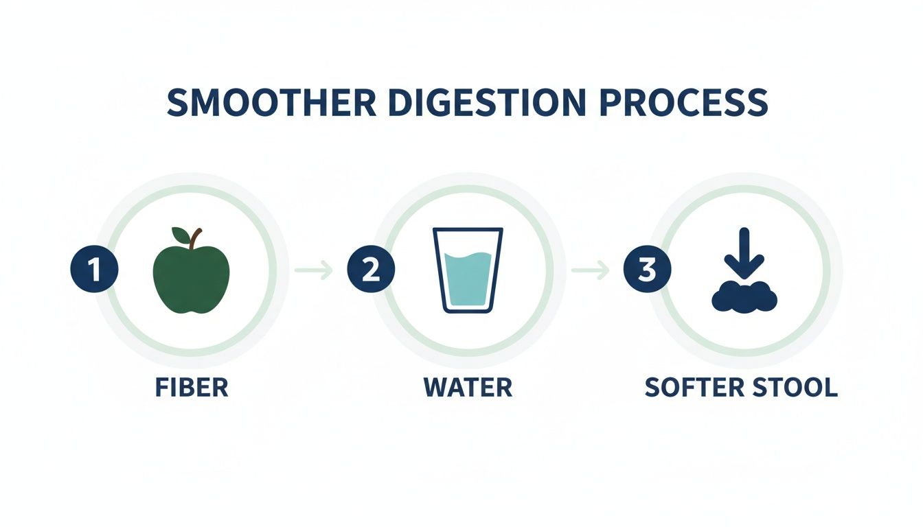 Infographic showing a 3-step process: fiber and water intake leads to softer stool.