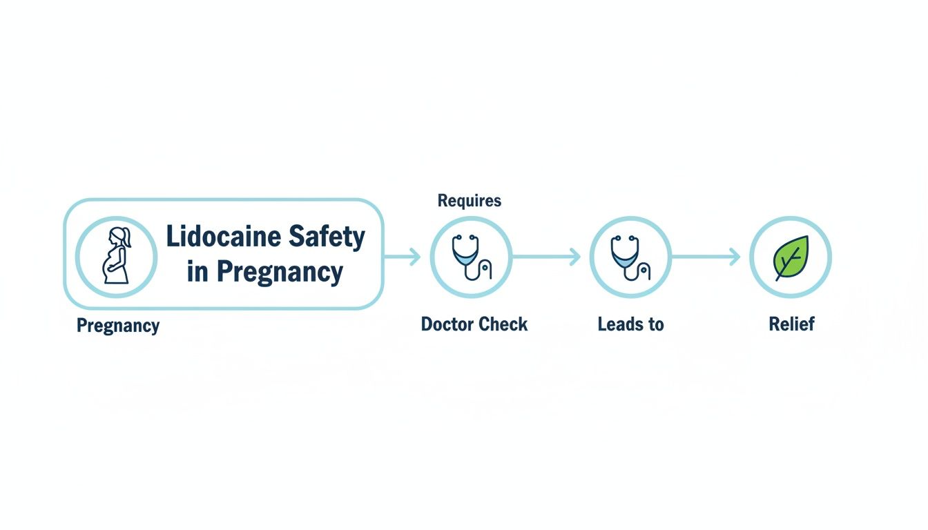 A flowchart illustrates Lidocaine safety in pregnancy, requiring doctor check for relief, using medical icons.