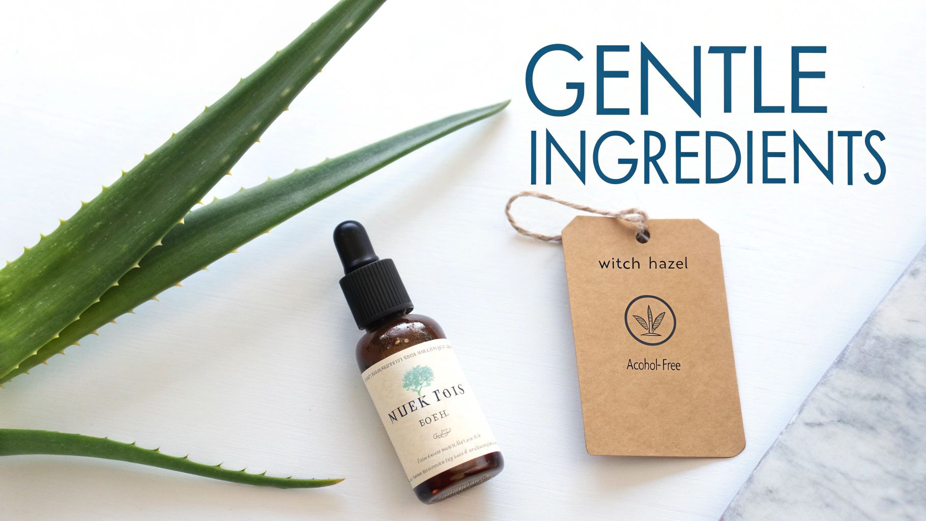 Aloe vera leaves, a serum bottle, and a 'witch hazel Alcohol-Free' tag emphasizing gentle ingredients.
