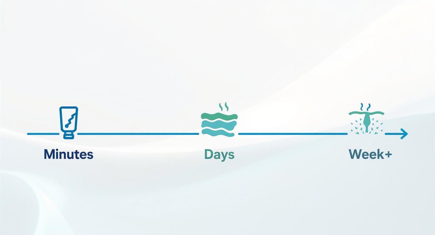 Timeline illustrating hemorrhoid treatment duration from minutes for relief to weeks for healing, with icons.