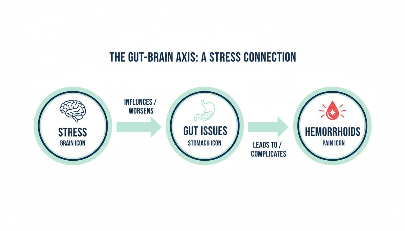 Infographic demonstrating the gut-brain axis connection, where stress can lead to gut issues and hemorrhoids.
