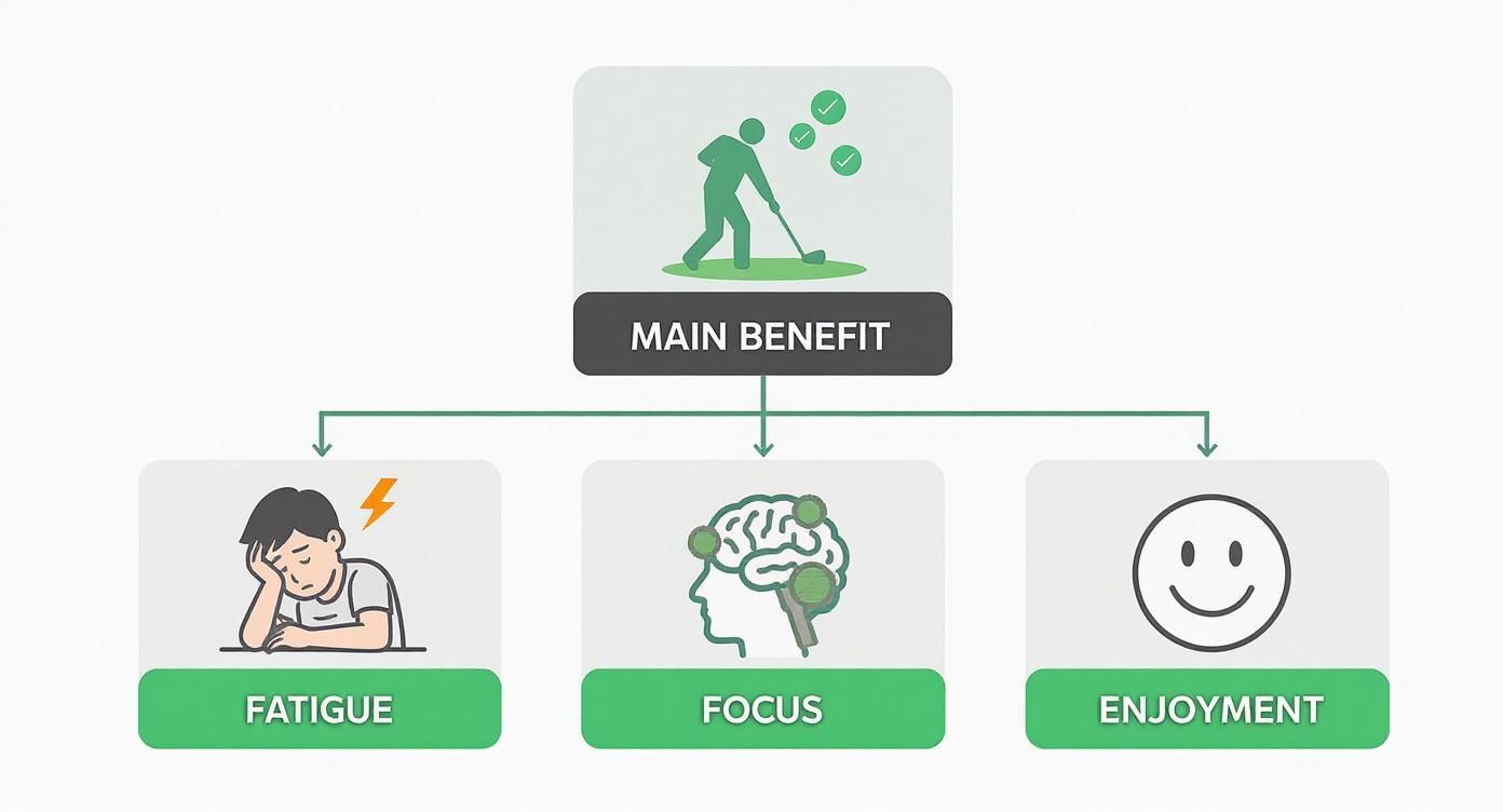 Infographic about electric caddie golf carts