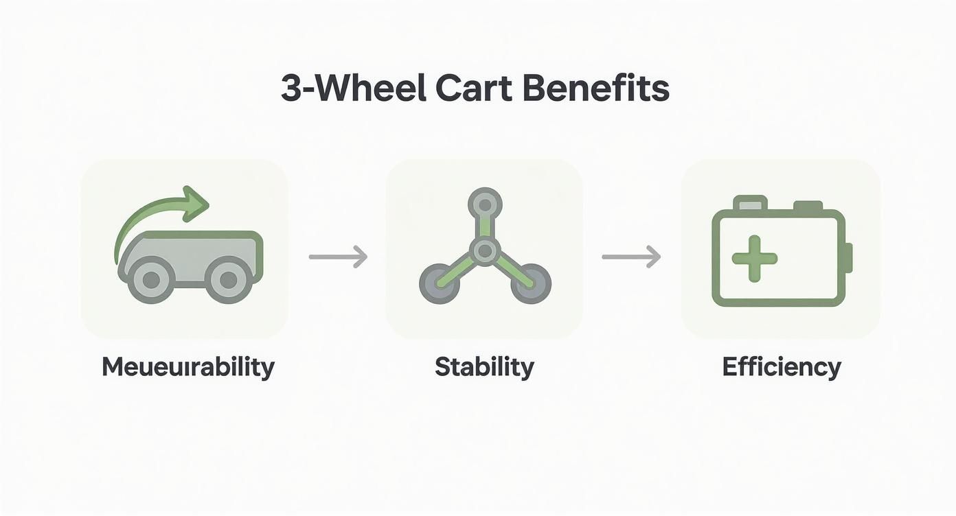 Infographic about three wheel golf cart electric