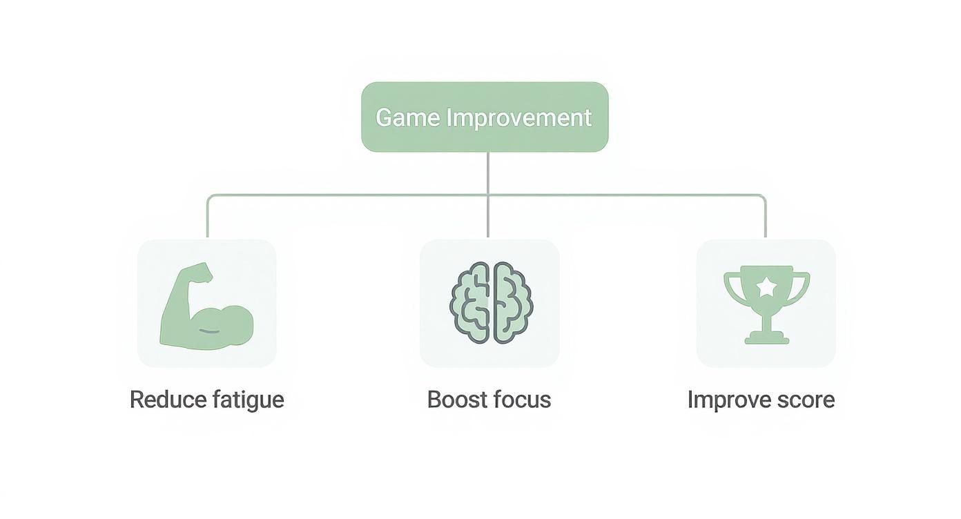 Infographic about remote controlled golf push carts