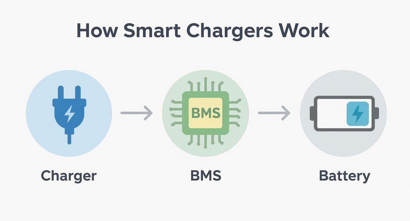 Infographic about lithium battery charger for golf cart